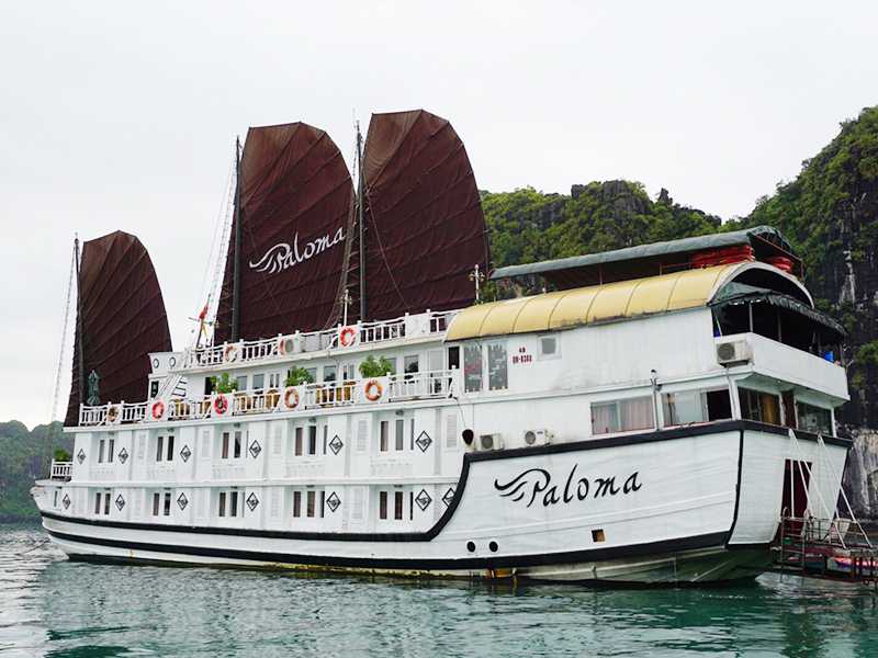 Paloma Cruise - Bai Tu Long Bay - 2 Days 1 Night on Boat