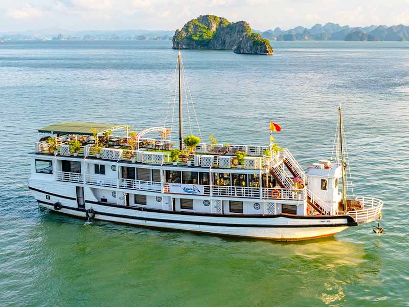 Bai Tu Long Bay Cruise 2 Days 1 Night on Renea Premium Cruise